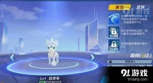 QQ飞车手游玉面狐白龙马对比详解