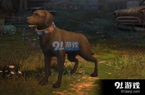 明日之后职业攻略：挖矿工与采麻工
