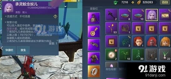 妄想山海小灵儿培养技巧详解