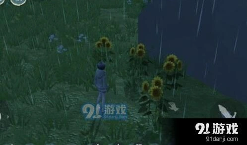 创造与魔法向日葵种子种植与制作教程