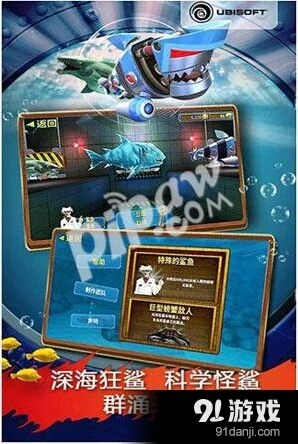 饥饿鲨全鱼类英文名称完整版