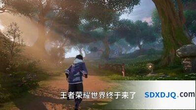 王者荣耀世界菇位置分析