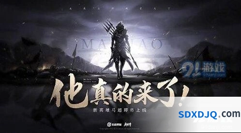 王者荣耀五虎将皮肤品质情况分析