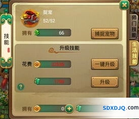 生存33天宠物活动参与指南