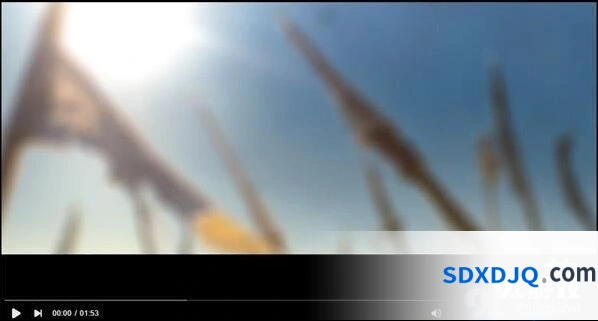 英雄联盟Arcane动画2020年上线 精彩不容错过