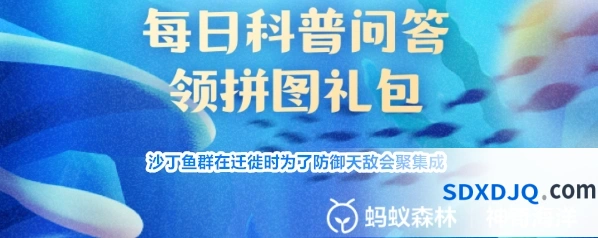 沙丁鱼群在迁徙时为了防御天敌会聚集成