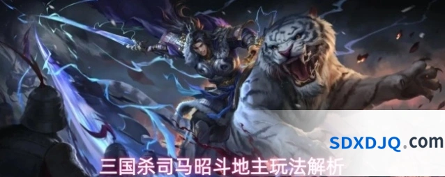 三国杀司马昭斗地主玩法解析