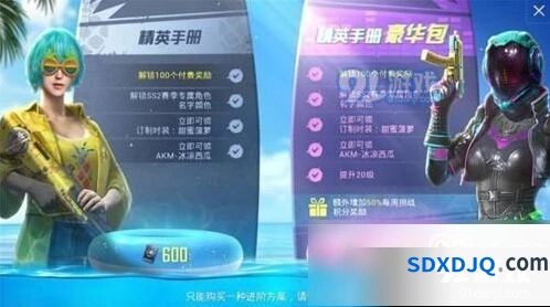 和平精英精英手册选哪个 详细选购指南