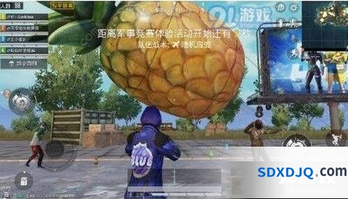 和平精英菠萝作用解析 第三个功能有趣