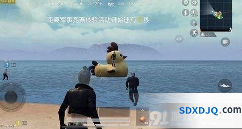 和平精英小黄鸡位置分布详情攻略技巧