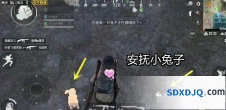和平精英兔子活动详解