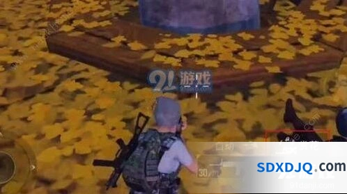 和平精英中秋月兔模式赏花攻略详解