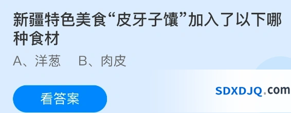 新疆特色美食皮牙子馕加入了以下哪种食材