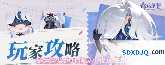命运圣契超凡精灵小夜玩法攻略