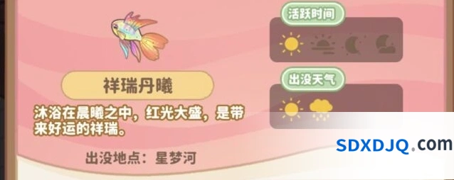 小岛日记钓鱼心得分享