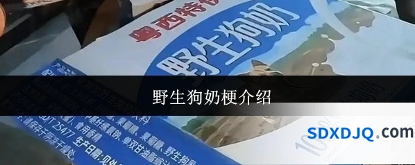 野生狗奶梗介绍