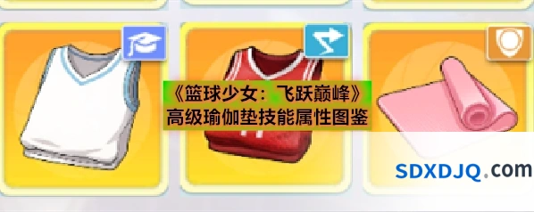 《篮球少女：飞跃巅峰》高级瑜伽垫技能属性图鉴