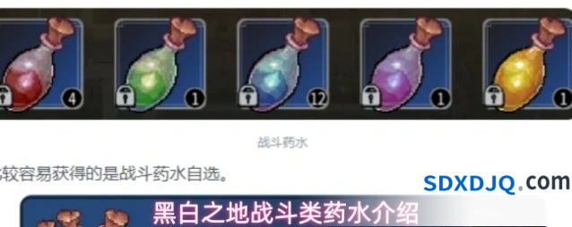 黑白之地战斗类药水介绍