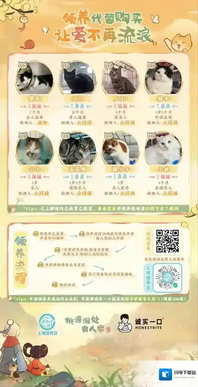 桃源深处有人家领养