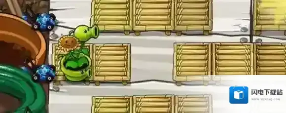 植物大战僵尸杂交版盆菇