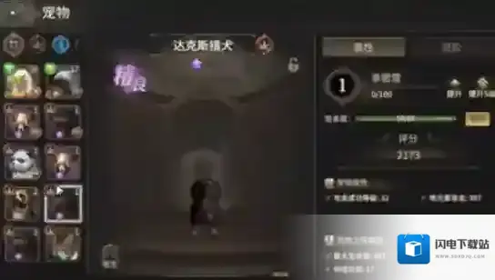 奇迹世界:起源宠物