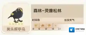 心动小镇黄头辉亭鸟位置在哪 心动小镇黄头辉亭鸟位置攻略