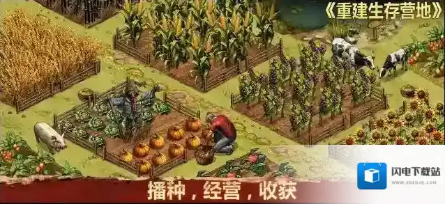 重建生存营地营地