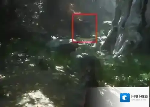 黑神话悟空金光