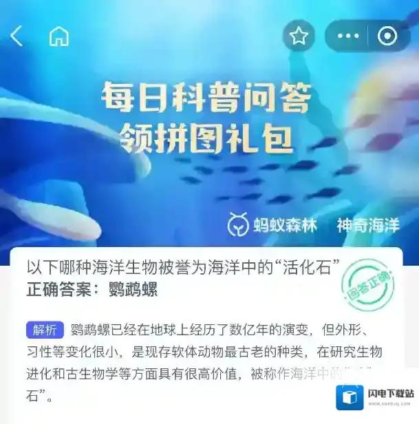 支付宝海洋