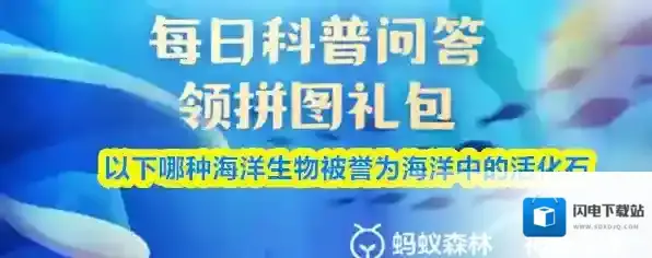 以下哪种海洋生物被誉为海洋中的活化石