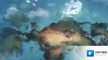 王者荣耀世界之地