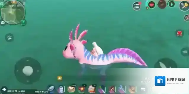 创造与魔法顽皮蝾螈刷新在哪里