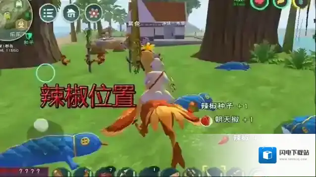 创造与魔法辣椒在哪里