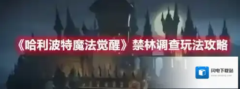 哈利波特魔法觉醒禁林任务