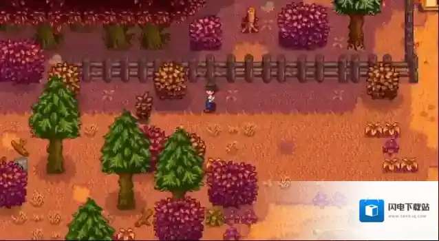 星露谷物语海莉暗室选哪个