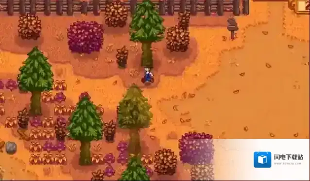 星露谷物语海莉暗室选哪个