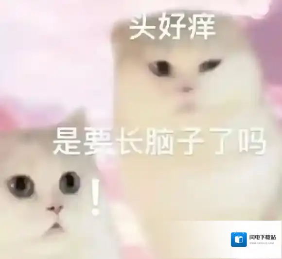 头有点痒，感觉要长脑子表情包 头有点痒感觉要长脑子什么意思