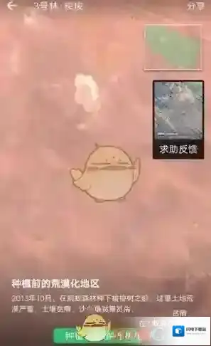 《支付宝》蚂蚁森林实景地图查看方法介绍