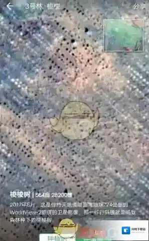 《支付宝》蚂蚁森林实景地图查看方法介绍