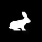 Pika助手应用2025-Pika助手官方最新版Androidv1.0.2