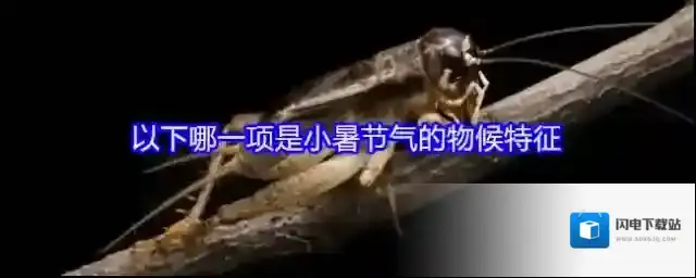 以下哪一项是小暑节气的物候特征