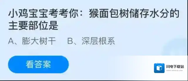 小鸡宝宝考考你：猴面包树储存水分的主要部位是