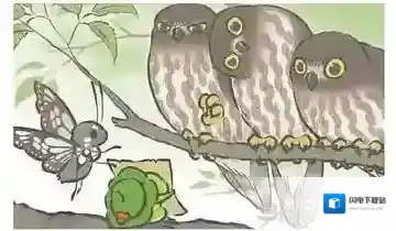 旅行青蛙问路明信片介绍 问路图鉴