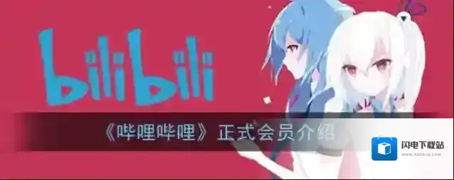 《哔哩哔哩》正式会员介绍