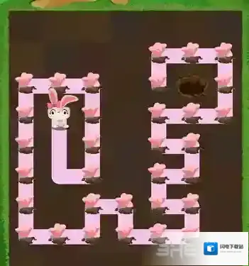 兔子复仇记五针松24关怎么过 Patchmania五针松第24关攻略