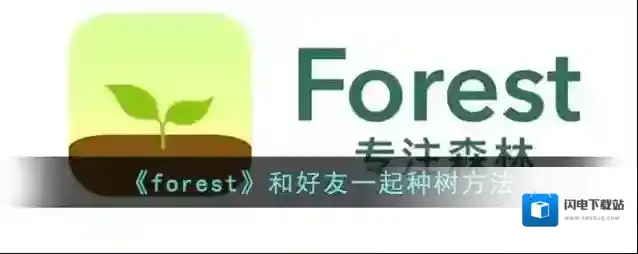《forest》和好友一起种树方法