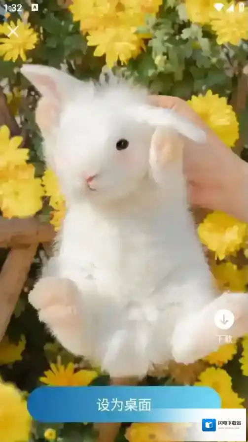 飞羽壁纸应用截图2