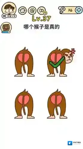 脑洞大大大第37关怎么过 哪个猴子是真的攻略