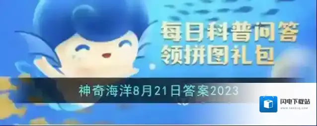 海豚等海洋哺乳动物通过群体进行活动的目的是什么